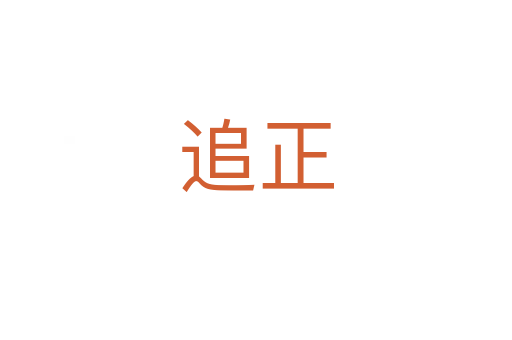 追正