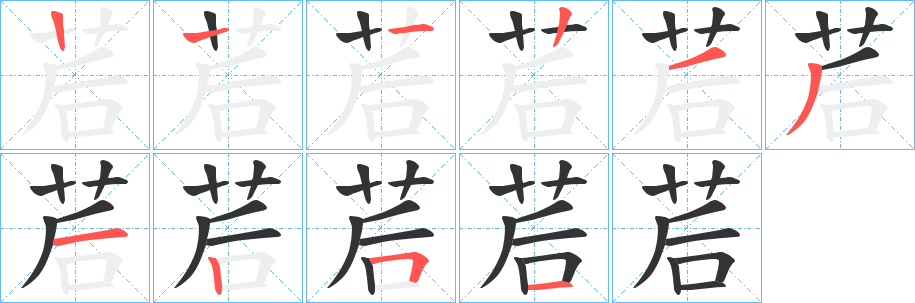 茩的笔顺分步演示